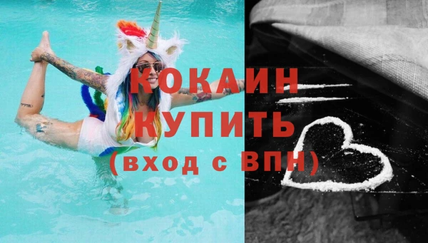 мяу мяу мука Инсар