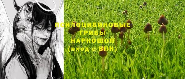 спиды Инта